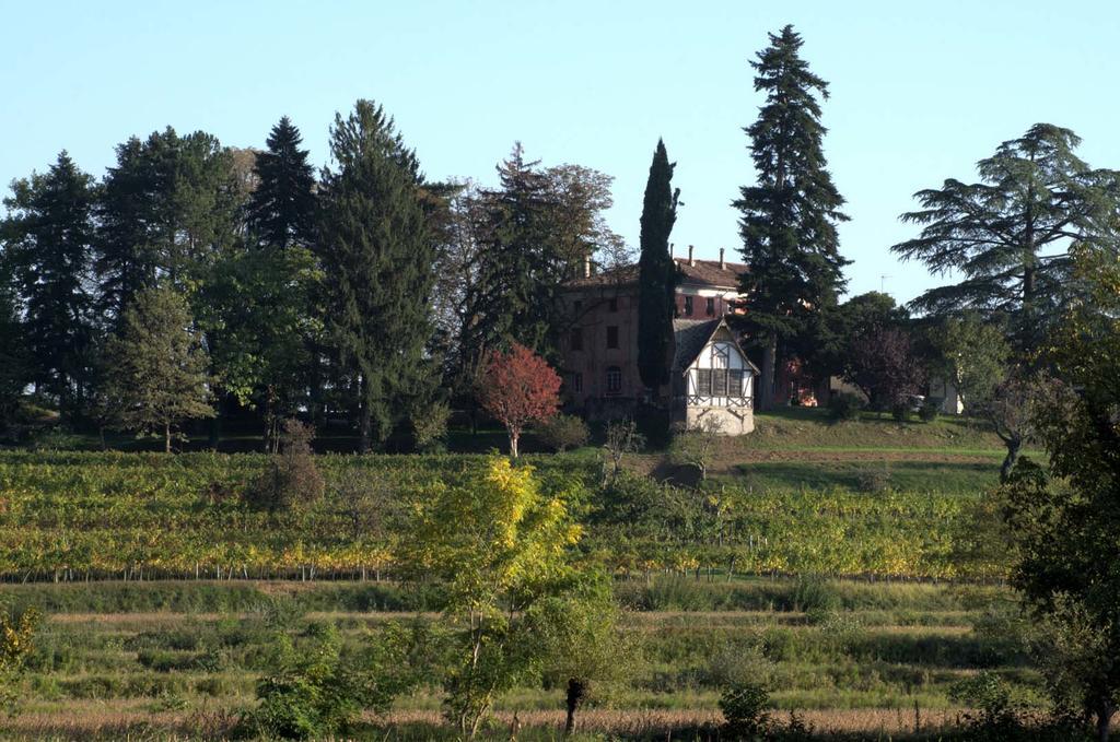 Villa Casali del Picchio - Winery Cividale del Friuli Esterno foto