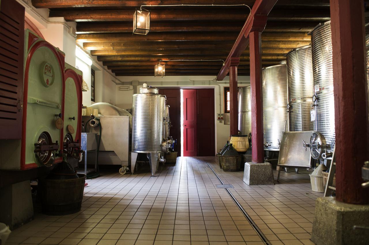 Villa Casali del Picchio - Winery Cividale del Friuli Esterno foto