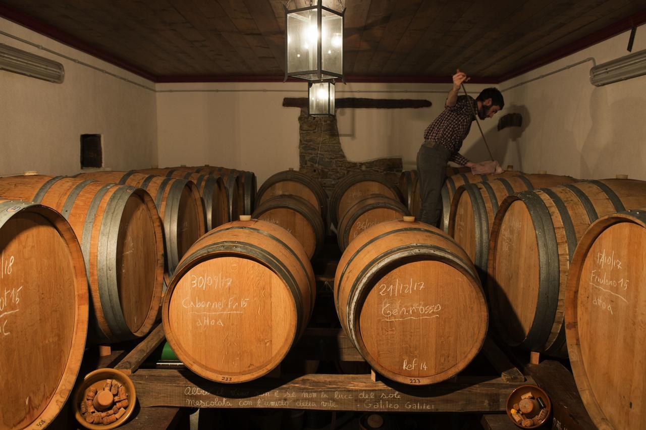Villa Casali del Picchio - Winery Cividale del Friuli Esterno foto